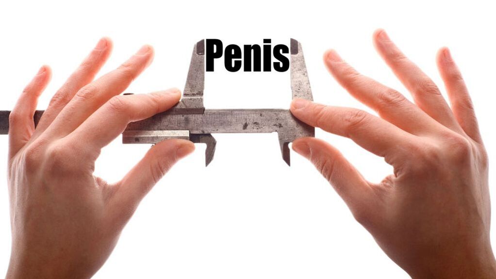 petite taille de pénis