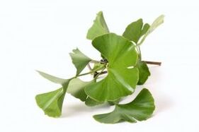 Ginkgo biloba pour agrandir le pénis.